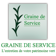 Graine de Service à Ambérieux-d'Azergues