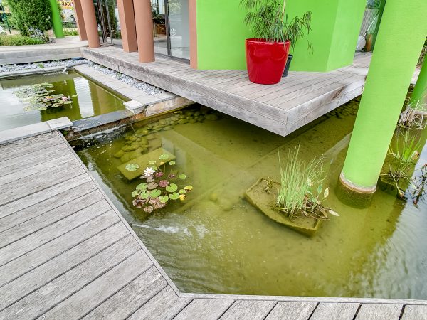 bassin avec terrasse bois par cdp créateur de paysage lyon ouest